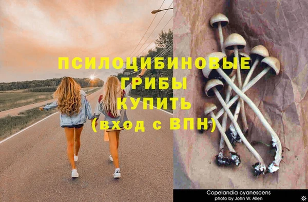 apvp Балахна