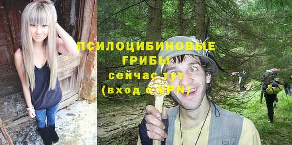 apvp Балахна