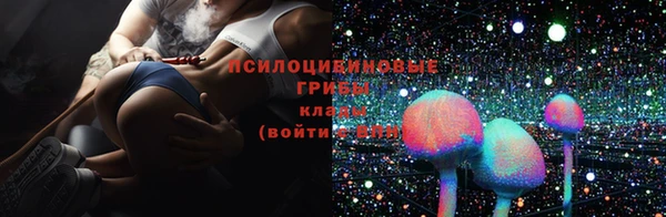 apvp Балахна